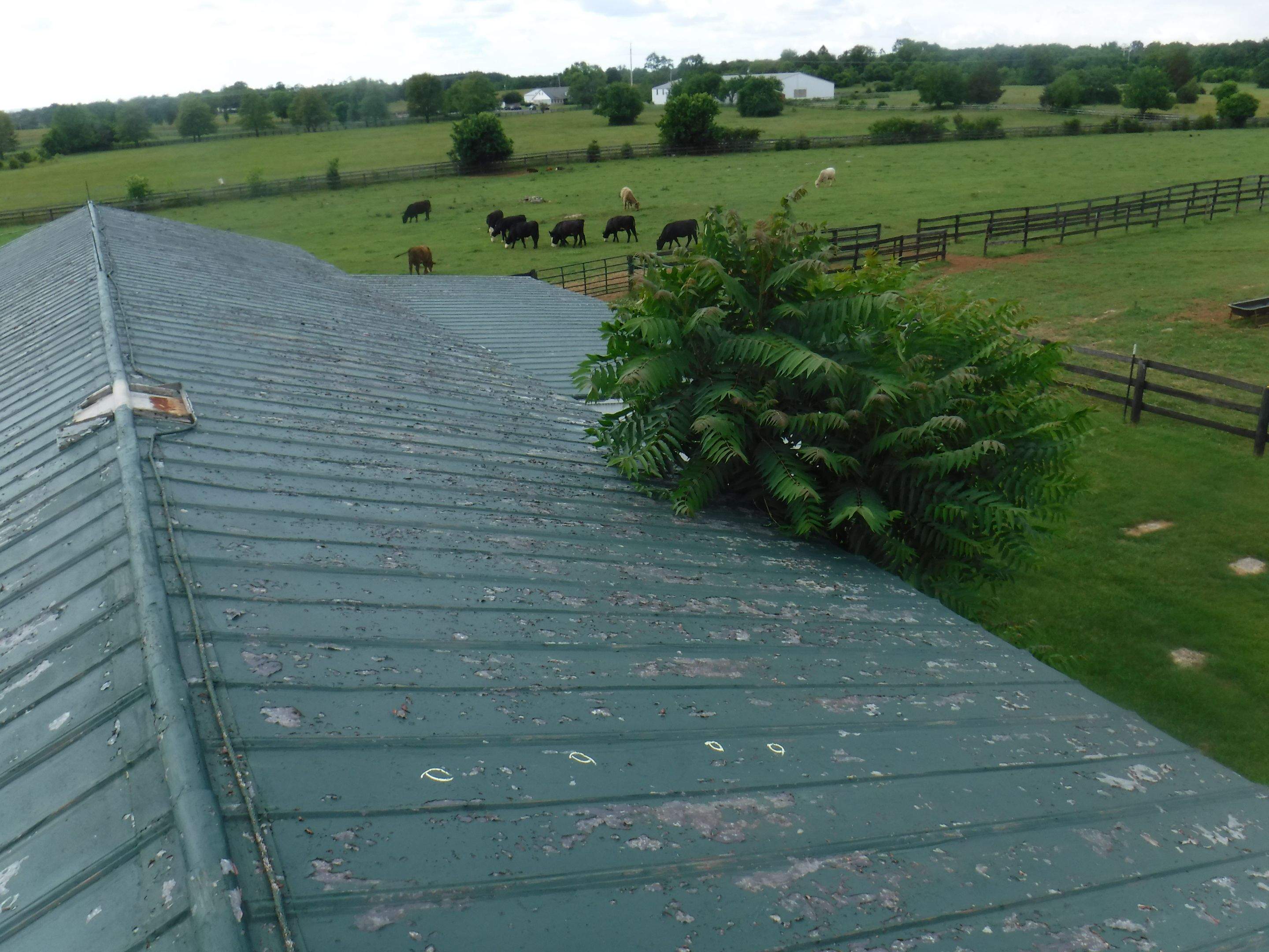 Hail on Metal Roof Damage